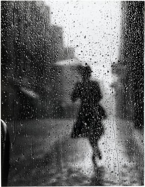 La poesía de la lluvia