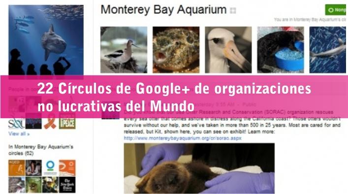 22 Círculos de Google+ de organizaciones no lucrativas del Mundo