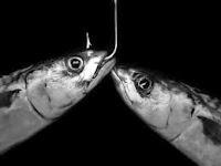 Por la boca muere el político