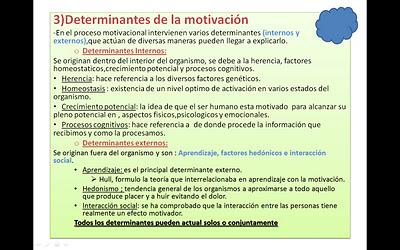 Tema 2 Motivación