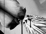 Demdike Stare Elemental Part Iris (Modern Love,2012)