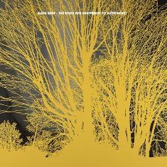 NADA SURF, THE STARS ARE INDIFFERENT TO ASTRONOMY: GUITARRAS QUE ROMPEN LAS COORDENADAS DEL TIEMPO.