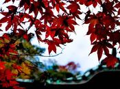 Subiendo Monte Oyama (大山)