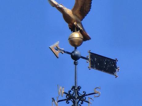 VIOLENCIA DE GÉNERO