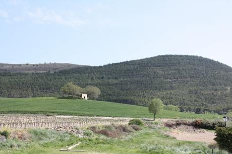 Edén en Leache, Navarra