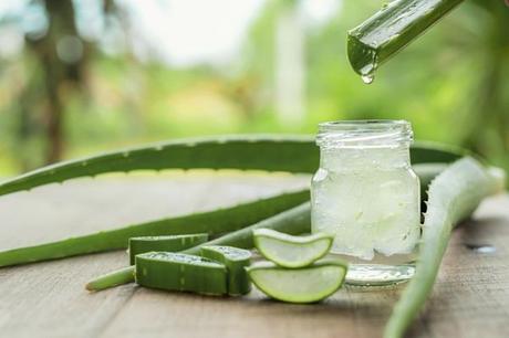 ¿Cuáles son los beneficios del jugo de aloe vera? 47