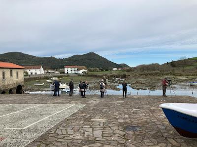 ÚLTIMOS COLETAZOS DE LA INVERNADA Y 