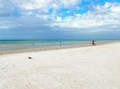mejores playas Sarasota