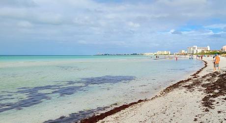 Las 10 mejores playas de Sarasota Playa Punta de las Rocas