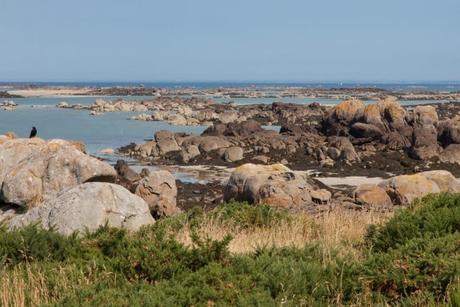 19 cosas esenciales que hacer