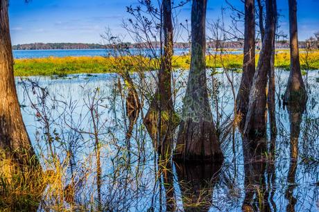 Parque Estatal Lake Louisa
