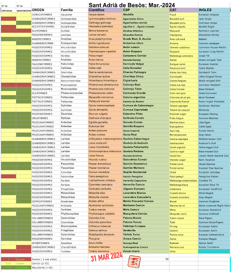 #OcellsdeSantAdrià Marzo-2024