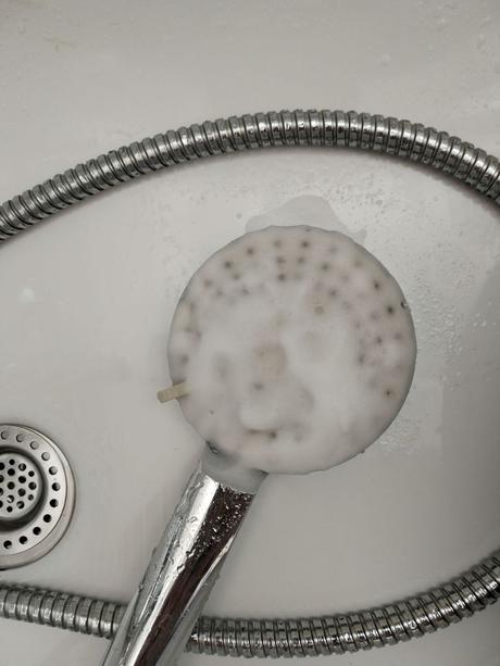 limpiar alcachofa de ducha