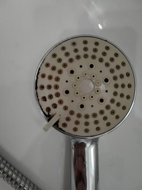 limpiar alcachofa de ducha