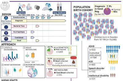 El autismo y TDAH se deben a una alteración de la flora intestinal El autismo y TDAH se deben a una alteración de la flora intestinal