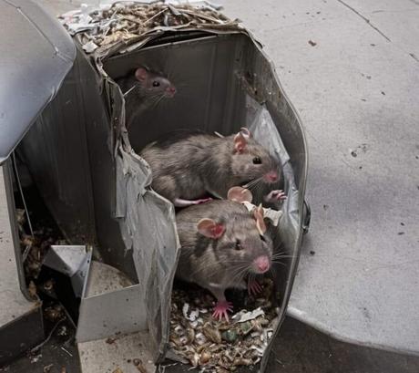 La Argentina de la mirada sucia