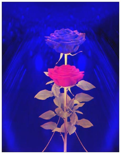 A Rafael,el vivo ,mi padre.