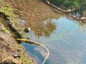 Interapas insta denuncia tomas clandestinas ante crisis hídrica