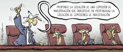 Las mascotas avanzan en derechos, mientras los toros son la gran asignatura pendiente.