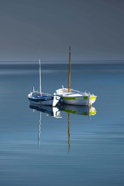 Las mascotas avanzan en derechos, mientras los toros son la gran asignatura pendiente. Las mascotas avanzan en derechos, mientras los toros son la gran asignatura pendiente.