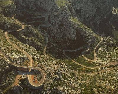 Las mascotas avanzan en derechos, mientras los toros son la gran asignatura pendiente.