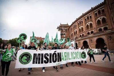 Las mascotas avanzan en derechos, mientras los toros son la gran asignatura pendiente.