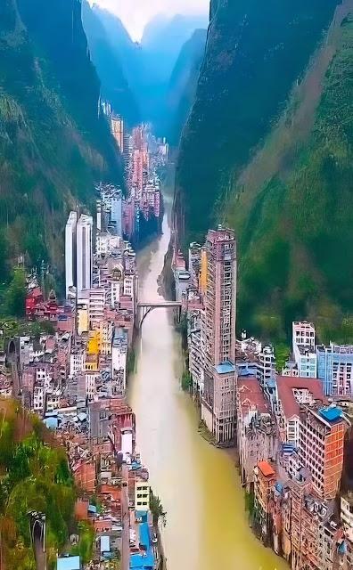 Las mascotas avanzan en derechos, mientras los toros son la gran asignatura pendiente.