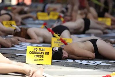 Las mascotas avanzan en derechos, mientras los toros son la gran asignatura pendiente.