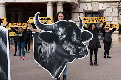 Las mascotas avanzan en derechos, mientras los toros son la gran asignatura pendiente.