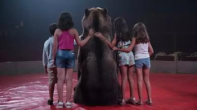 Las mascotas avanzan en derechos, mientras los toros son la gran asignatura pendiente.