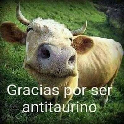 Las mascotas avanzan en derechos, mientras los toros son la gran asignatura pendiente. Las mascotas avanzan en derechos, mientras los toros son la gran asignatura pendiente.