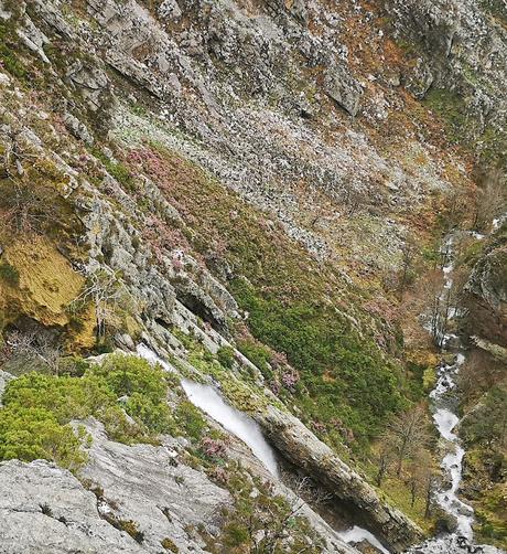 Ruta de las  Brañas Alleranas