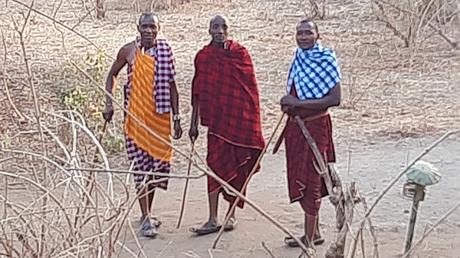 TANZANIA: EL PARQUE NACIONAL DE TARANGIRE TANZANIA: EL PARQUE NACIONAL DE TARANGIRE