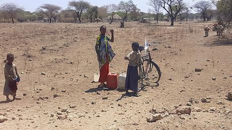 TANZANIA: EL PARQUE NACIONAL DE TARANGIRE TANZANIA: EL PARQUE NACIONAL DE TARANGIRE