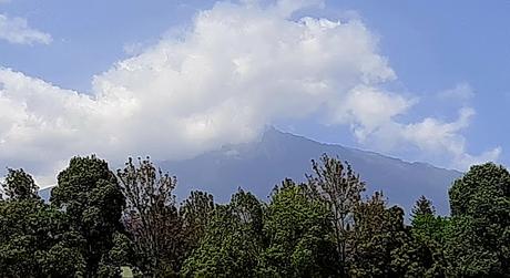 TANZANIA: EL PARQUE NACIONAL DE TARANGIRE TANZANIA: EL PARQUE NACIONAL DE TARANGIRE