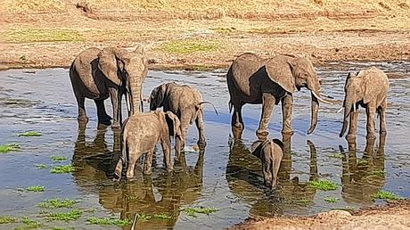 TANZANIA: EL PARQUE NACIONAL DE TARANGIRE TANZANIA: EL PARQUE NACIONAL DE TARANGIRE