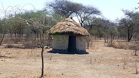 TANZANIA: EL PARQUE NACIONAL DE TARANGIRE