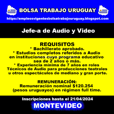 Jefe-a de Audio y Video Jefe-a de Audio y Video