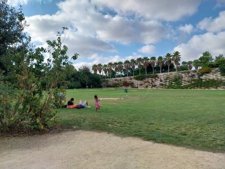 Paseando Por El Parque Central (Valencia)