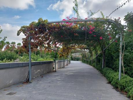 Paseando Por El Parque Central (Valencia)