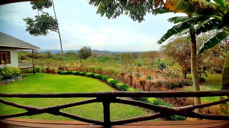 TANZANIA: EN EL CRÁTER DEL NGORONGORO