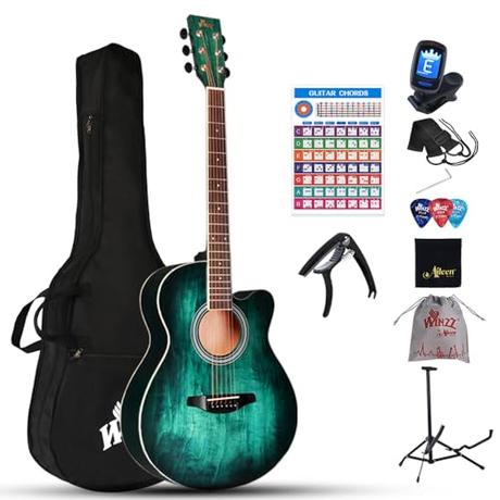 Winzz 40 Pulgadas Guitarra Acústica con Cuerdas de Acero para Principiantes Adultos y Estudiantes, Elegante Diseño de Color Único (Azul-Verde)