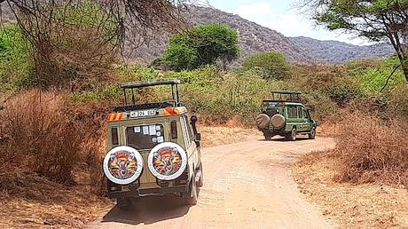 TANZANIA: EL PARQUE NACIONAL DEL LAGO MANYARA