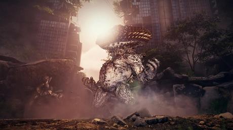 53643835904_d6afd02d24_h