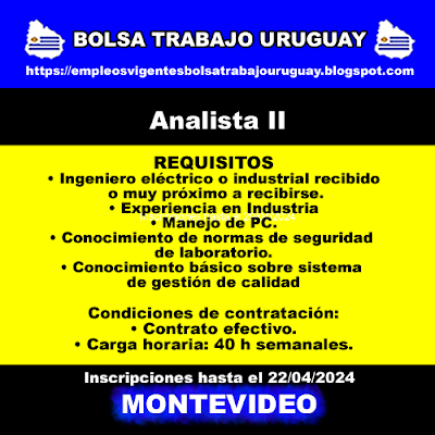 Analista II