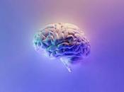 Identifican región cerebro controla atención