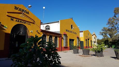 ATENEO DEL VINO: sábado 16 de marzo de 2024: visita a las instalaciones vitivinícolas de Bodegas Manuel Aragón Baizán, S.L. en Chiclana