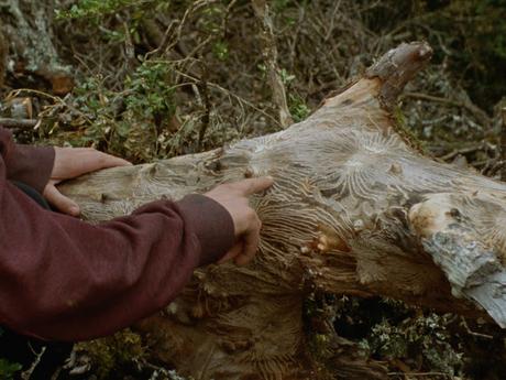 Visions du Réel 2024 - Parte 4: Voces latinas Visions du Réel 2024 - Parte 4: Voces latinas