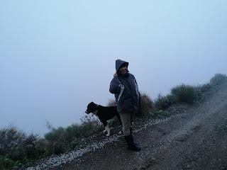 ¿Tiempos de preocupación? ¿Tiempos de preocupación?