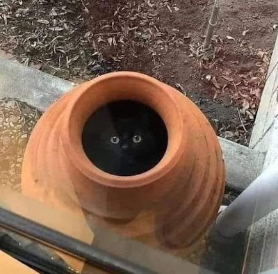 ¿Por qué eligió Pedro Sánchez aliados para reconocer Palestina?